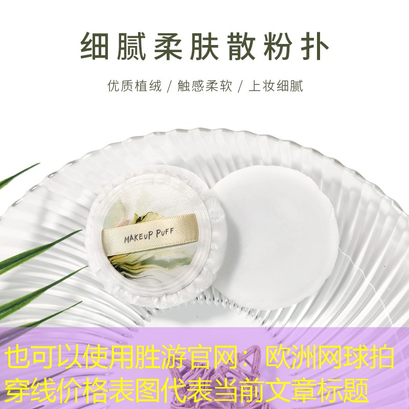 胜游官网：欧洲网球拍穿线价格表图