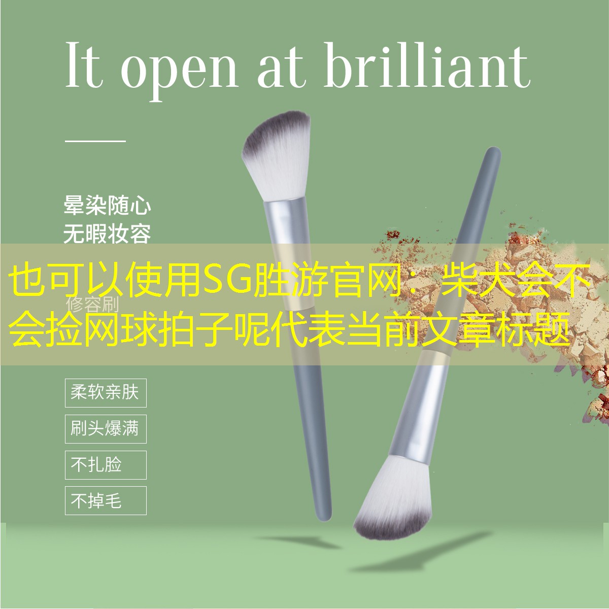 SG胜游官网：柴犬会不会捡网球拍子呢